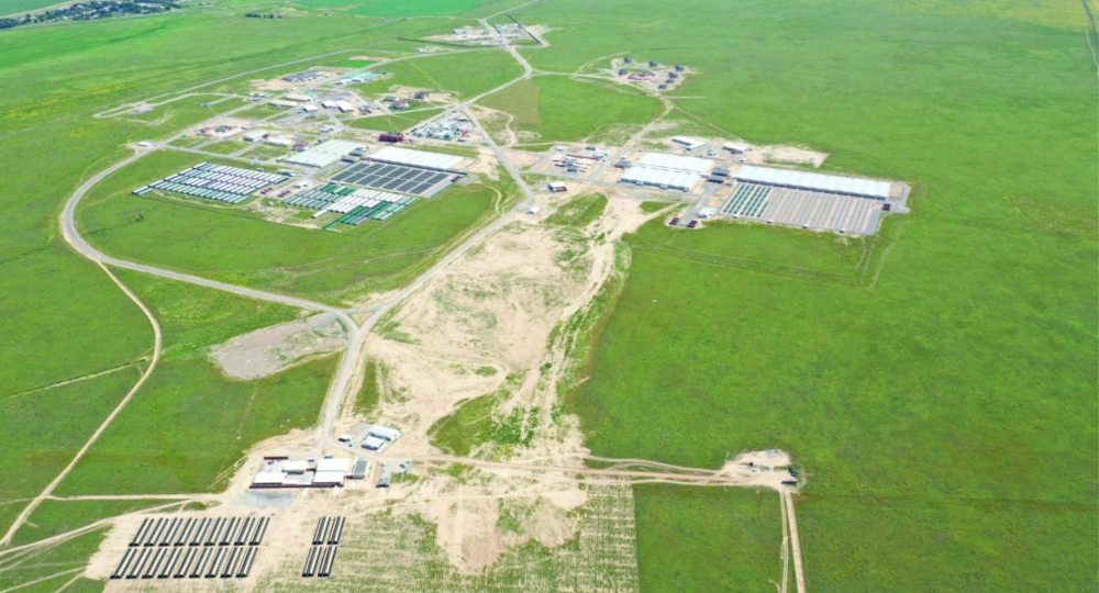 Houbara Breeding Station 2
